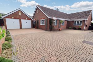 HAZEL MEWS- click for photo gallery